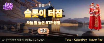 매일 충전 릴로드 보너스 promotion